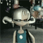 dima_shabedka